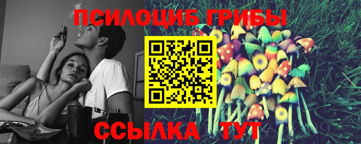 Галлюциногенные грибы Psilocybine cubensis Кольчугино