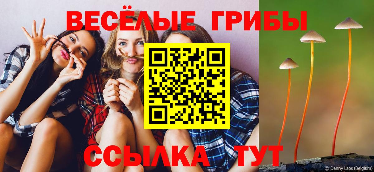 Кольчугино  Псилоцибиновые грибы GOLDEN TEACHER  Вход с VPN 